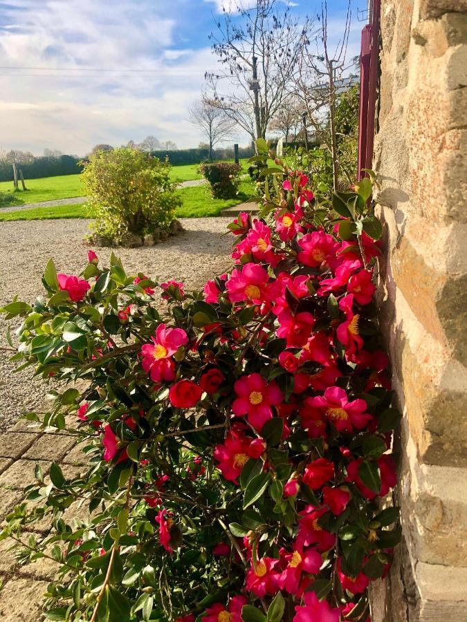 Greener Pastures - Normandy Self Catering Gites La Chapelle-Engerbold Exteriér fotografie